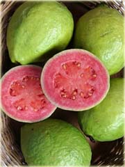 Gujawa, gruszla, gwajawa, gojawa jadalna